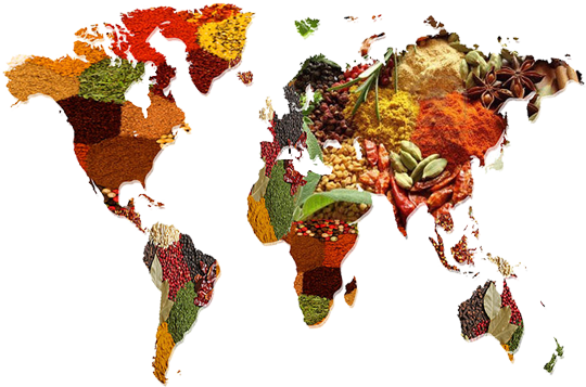Recipes from all over the world